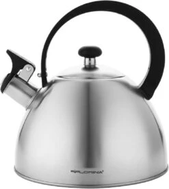 Florina Brillo Fluitketel 2,5L Voor Alle Warmtebronnen - Waterketel - Geborsteld RVS Zilver