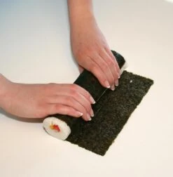 Sushezi - Sushi Maker - Sushi Bazooka -Kookgerei Koning Verkoop 1176x1200 7