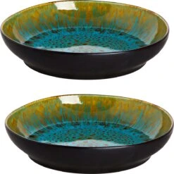 Palmer Bord Diep Lotus 21 Cm Zwart Turquoise Stoneware 2 Stuk(s) 16 Palmer Bord Diep Lotus 21 Cm Zwart Turquoise Stoneware 2 Stuk(s) -Kookgerei Koning Verkoop 1199x1200 6
