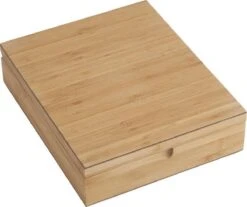 Bredemeijer - Theedoos 9-vaks Gesloten Bamboe Natural -Kookgerei Koning Verkoop 1200x1007 13