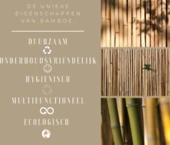 Snijplanken Hout - Bamboe - Set Duurzaam - Serveerplank - Snijplank - 38x28cm & 33x23,5cm - Keuken -Kookgerei Koning Verkoop 1200x1025 1