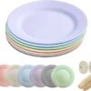 Onbreekbare Borden Van 25 Cm, 6-delige Set, Herbruikbare Platte Borden Met Luffas-afwasborstels, Eetborden, Kunststof, Licht Voor Feestjes, Kamperen, BBQ/pizza, Magnetronbestendig, Vaatwasmachinebestendig, BPA-vrij (veelkleurig)