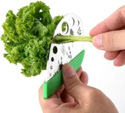 Merkloos Kruidenstripper- RVS Kruidensnijder- Herb Stripper- Cutter- Multifunctionele Roestvrijstalen, Keukengerei, Keukenaccessoires- Tool- Groentesnijder 16 Merkloos Kruidenstripper- RVS Kruidensnijder- Herb Stripper- Cutter- Multifunctionele Roestvrijstalen, Keukengerei, Keukenaccessoires- Tool- Groentesnijder -Kookgerei Koning Verkoop 1200x1081