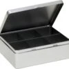Merkloos Zilveren 6-vaks Theedoos/theekist 20 Cm - Keuken Accessoires - Theezakjes Houder Bewaarblik