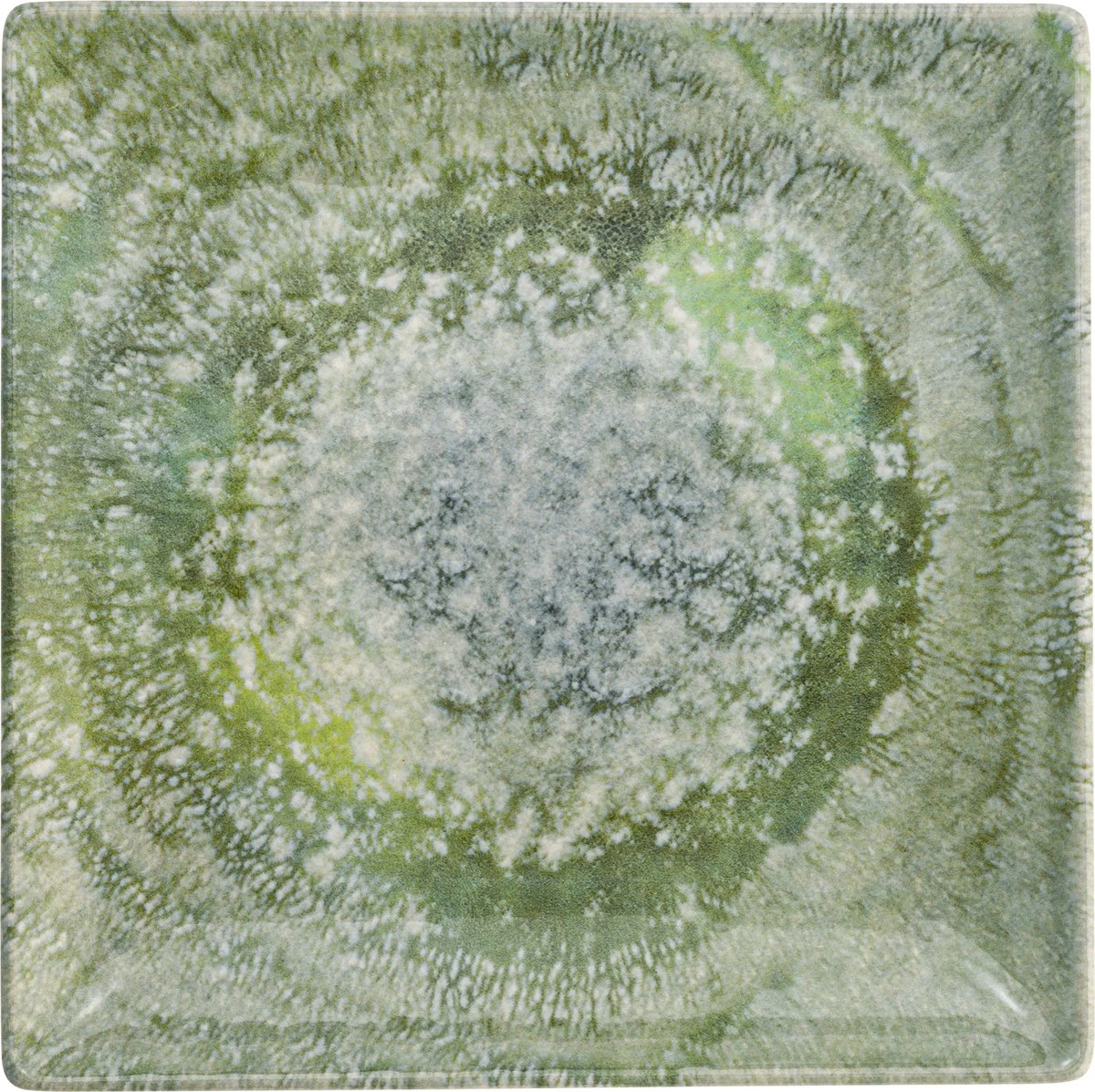 Lite-Body Hermes Gebaksbordjes - Set Van 8 Stuks - Ø16 Cm - Groen Reliëf 5 Lite-Body Hermes Gebaksbordjes - Set Van 8 Stuks - Ø16 Cm - Groen Reliëf - Afbeelding 5