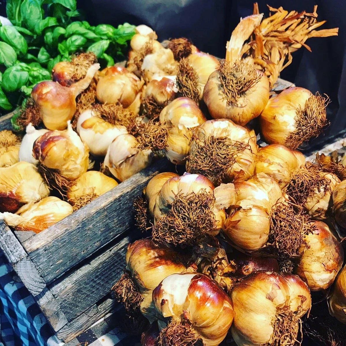 Garlicmaster Knoflookpers - Ook Voor Kruiden En Noten - Paars 3 Garlicmaster Knoflookpers - Ook Voor Kruiden En Noten - Paars - Afbeelding 3