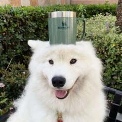 Stanley The Legendary Camp Mug 0,35L - Beker - Hammertone Green -Kookgerei Koning Verkoop 1200x1199