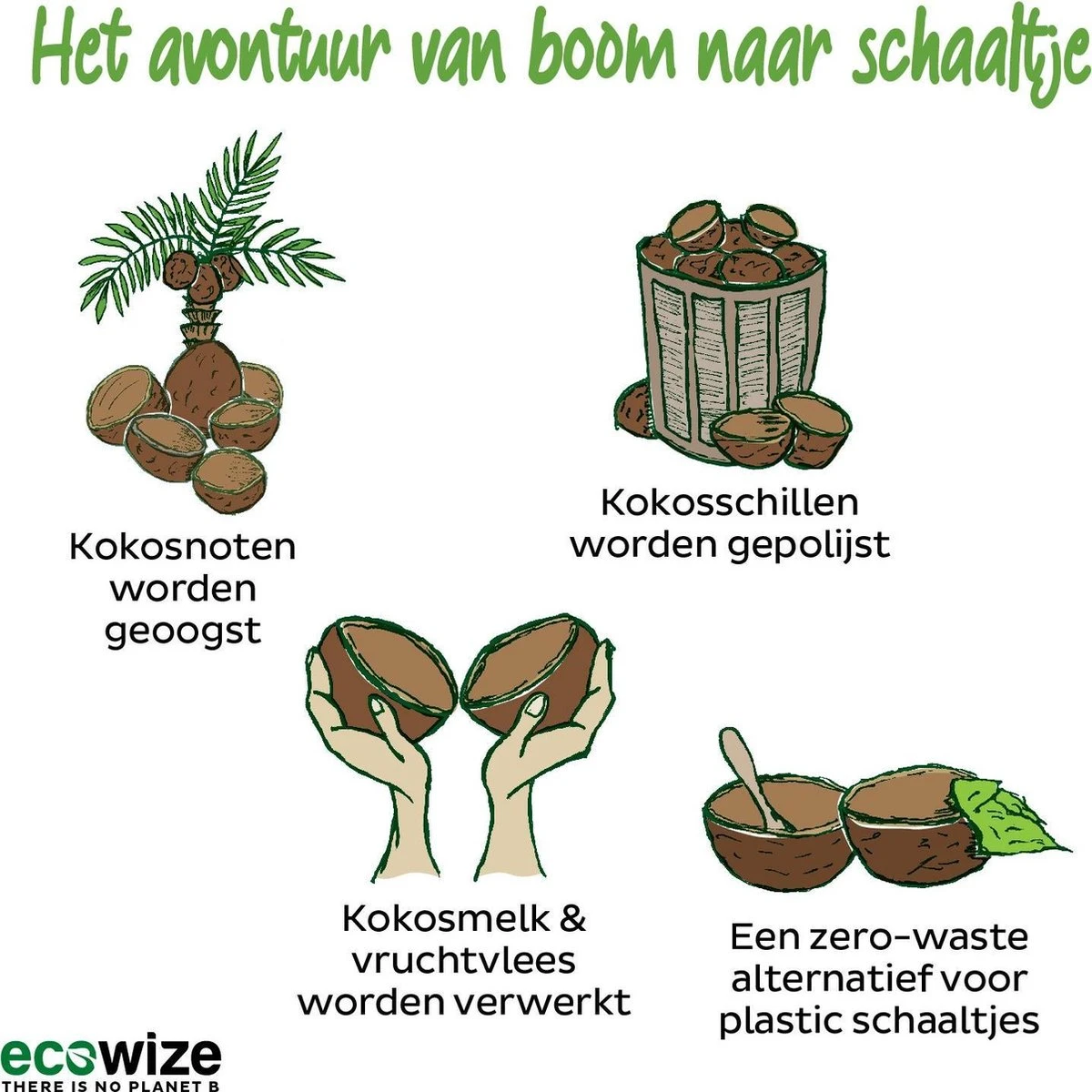 Ecowize Coconut Bowls (Set Van 3) - Kokosnoot Kom & Schaal - Met 3 Lepels, 3 Vorken En 8 Bamboe Rietjes - Zero Waste & Herbruikbaar - Duurzaam Cadeau 2 Ecowize Coconut Bowls (Set Van 3) - Kokosnoot Kom & Schaal - Met 3 Lepels, 3 Vorken En 8 Bamboe Rietjes - Zero Waste & Herbruikbaar - Duurzaam Cadeau - Afbeelding 2