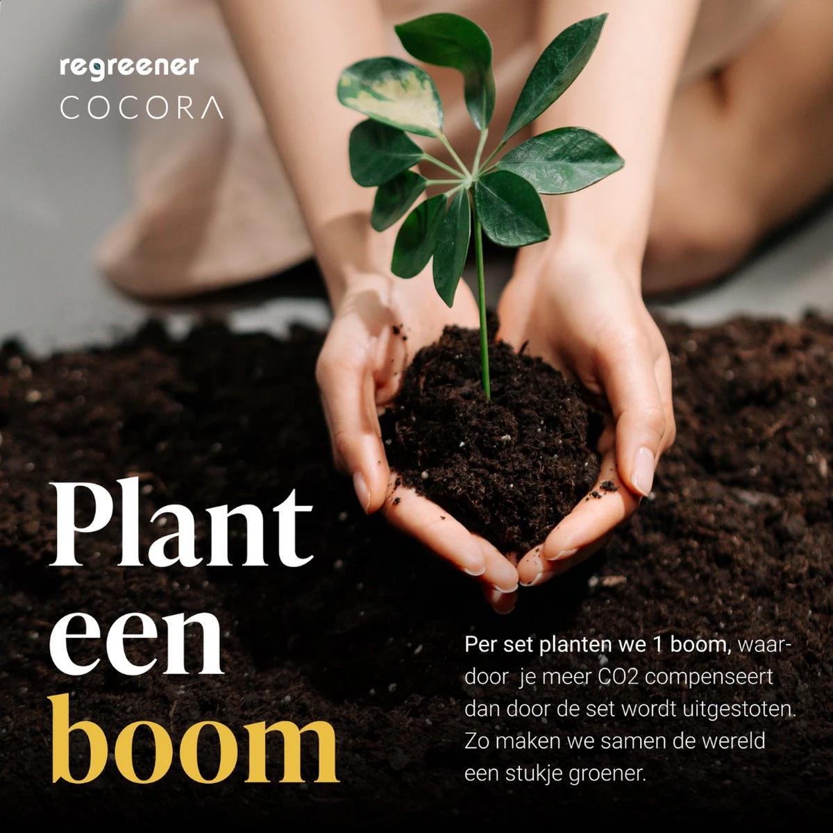 Cocora Gin Tonic Geschenkset - 12-delige RVS Cocktail Set - Tritan® Kristalglazen - Cocktail Boek - Luxe Cadeauverpakking - Zilver 9 Cocora Gin Tonic Geschenkset - 12-delige RVS Cocktail Set - Tritan® Kristalglazen - Cocktail Boek - Luxe Cadeauverpakking - Zilver - Afbeelding 9