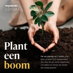 Cocora Gin Tonic Geschenkset - 12-delige RVS Cocktail Set - Tritan® Kristalglazen - Cocktail Boek - Luxe Cadeauverpakking - Rosé Goud -Kookgerei Koning Verkoop 1200x1200 5860