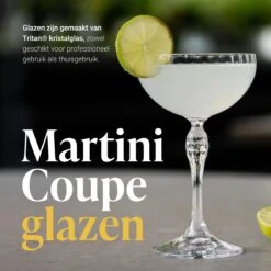 Cocora Martini Set - 9-delige RVS Cocktail Set - Cocktail Shaker - Martini Coupe Glazen - Cocktail Boek - Luxe Cadeauverpakking - Zilver -Kookgerei Koning Verkoop 1200x1200 5869