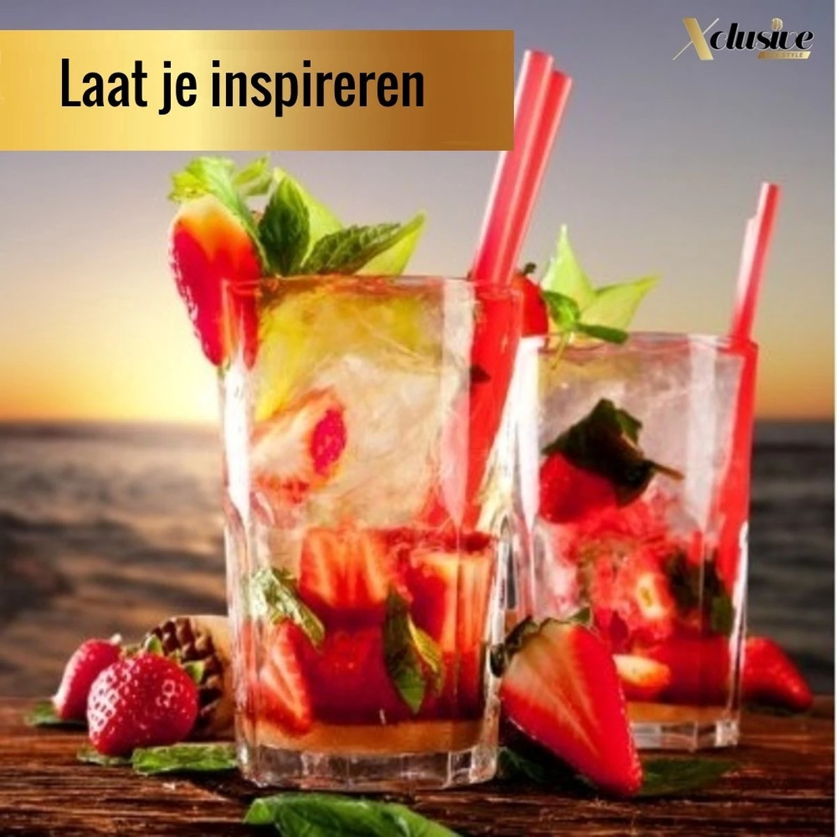 Xclusive-lifestyle® Luxe Cocktail Set - 16-Delige Cocktailset - Cocktail Shaker - 750ml - Robuuste Bamboe Houder - Nederlandstalig Receptboekje En RVS Cocktailrietjes - Luxe Cadeauverpakking - Een Uniek Kado 8 Xclusive-lifestyle® Luxe Cocktail Set - 16-Delige Cocktailset - Cocktail Shaker - 750ml - Robuuste Bamboe Houder - Nederlandstalig Receptboekje En RVS Cocktailrietjes - Luxe Cadeauverpakking - Een Uniek Kado - Afbeelding 8