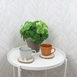 OTIX Koffiekopjes - Met Oor - Set Van 4 - Verschillende Kleuren - Aardewerk - 250 Ml 11 OTIX Koffiekopjes - Met Oor - Set Van 4 - Verschillende Kleuren - Aardewerk - 250 Ml -Kookgerei Koning Verkoop 1200x1200 629