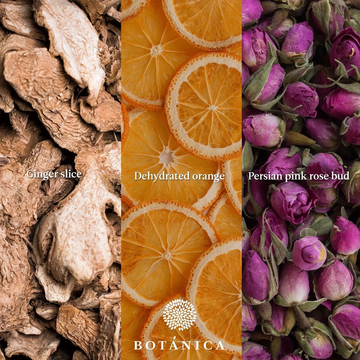 BOTANICA Gin-botanicals Ginkruiden 6 Soorten (mix 1) In Paper-bag (175g) 2 BOTANICA Gin-botanicals Ginkruiden 6 Soorten (mix 1) In Paper-bag (175g) - Afbeelding 2