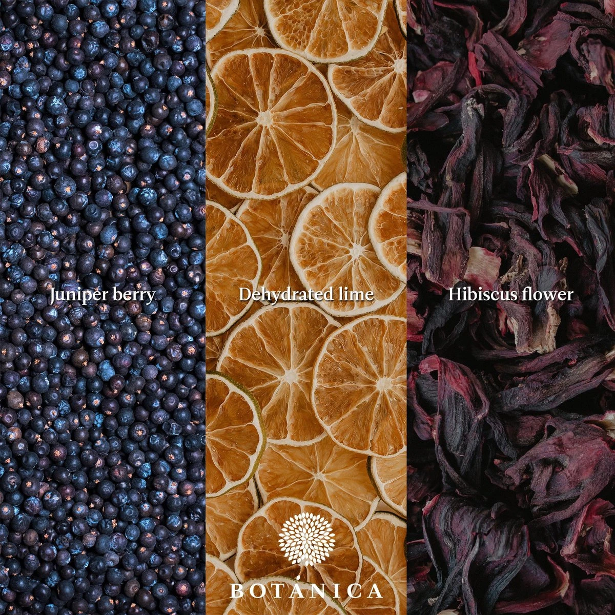 BOTANICA Gin-botanicals Ginkruiden 6 Soorten (mix 1) In Paper-bag (175g) 3 BOTANICA Gin-botanicals Ginkruiden 6 Soorten (mix 1) In Paper-bag (175g) - Afbeelding 3