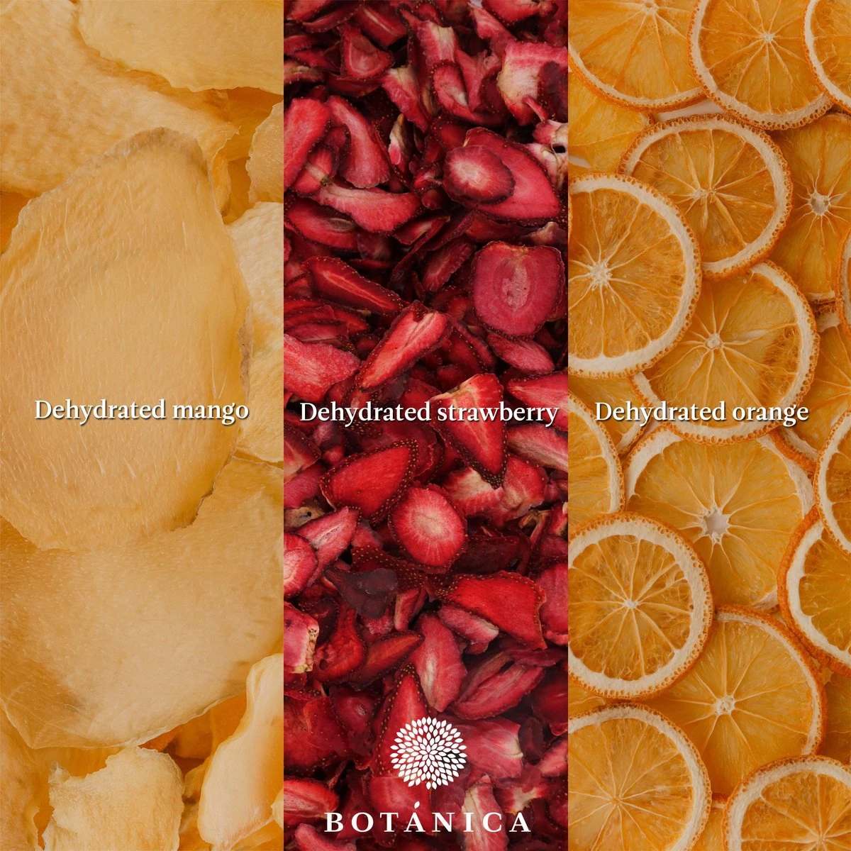 BOTANICA Gedroogde Vruchten Mix 6 Soorten (6 X 20 G). Perfecte Garnering In Cocktails Of In Je Favoriete Gin. 3 BOTANICA Gedroogde Vruchten Mix 6 Soorten (6 X 20 G). Perfecte Garnering In Cocktails Of In Je Favoriete Gin. - Afbeelding 3