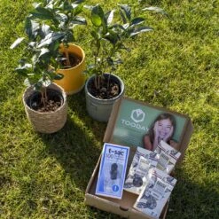 T-Sac Theefilters No.1 -Kookgerei Koning Verkoop 1200x1200 6543