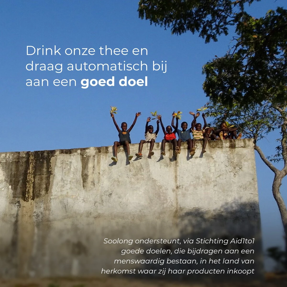 Soolong Theepot - Original - Glas - 1500ml - 1stuks 3 Soolong Theepot - Original - Glas - 1500ml - 1stuks - Afbeelding 3