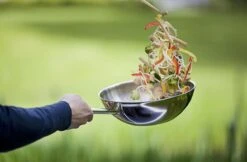 Demeyere Senses 5 RVS Wokpan - Inductie - 30 Cm – PTFE En PFAS Vrij -Kookgerei Koning Verkoop 1200x786 13