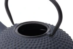 Bredemeijer - Theepot Xilin 1,25L Gietijzer Blauw 11 Bredemeijer - Theepot Xilin 1,25L Gietijzer Blauw -Kookgerei Koning Verkoop 1200x800 126