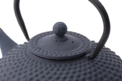 Bredemeijer - Theepot Xilin 1,25L Gietijzer Blauw 12 Bredemeijer - Theepot Xilin 1,25L Gietijzer Blauw -Kookgerei Koning Verkoop 1200x800 127