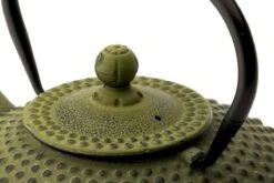 Bredemeijer - Theepot Xilin 1,25L Gietijzer Groen 13 Bredemeijer - Theepot Xilin 1,25L Gietijzer Groen -Kookgerei Koning Verkoop 1200x800 131