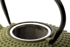 Bredemeijer - Theepot Xilin 1,25L Gietijzer Groen 15 Bredemeijer - Theepot Xilin 1,25L Gietijzer Groen -Kookgerei Koning Verkoop 1200x800 133