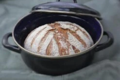 BK Fortalit Braadpan Ø 22 Cm / 2L - Emaille - Inductie 16 BK Fortalit Braadpan Ø 22 Cm / 2L - Emaille - Inductie -Kookgerei Koning Verkoop 1200x800 588