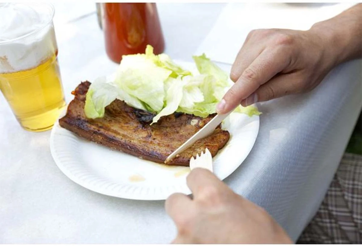 Kartonnen Bordjes Wit Ø23 Cm - Wegwerp Bord - Feest/Verjaardag - 100 Stuks 3 Kartonnen Bordjes Wit Ø23 Cm - Wegwerp Bord - Feest/Verjaardag - 100 Stuks - Afbeelding 3