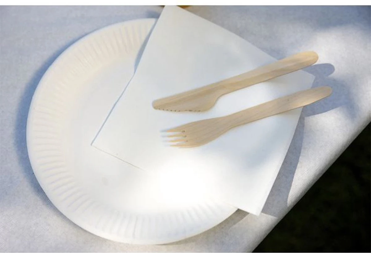 Kartonnen Bordjes Wit Ø23 Cm - Wegwerp Bord - Feest/Verjaardag - 100 Stuks 2 Kartonnen Bordjes Wit Ø23 Cm - Wegwerp Bord - Feest/Verjaardag - 100 Stuks - Afbeelding 2