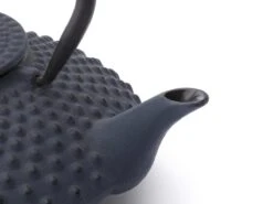 Bredemeijer - Theepot Xilin 1,25L Gietijzer Blauw 14 Bredemeijer - Theepot Xilin 1,25L Gietijzer Blauw -Kookgerei Koning Verkoop 1200x900 129