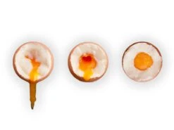 Brainstream PiepEi - Kookwekker - Rock 13 Brainstream PiepEi - Kookwekker - Rock -Kookgerei Koning Verkoop 1200x900 309