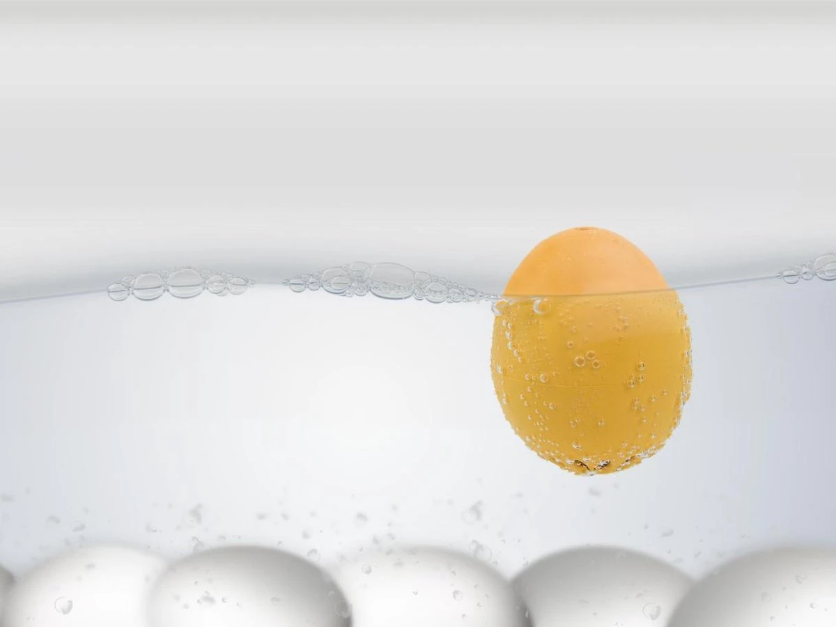 Brutus Kookt! Piepei Eierwekker - Timetravel 70´s 4 Brutus Kookt! Piepei Eierwekker - Timetravel 70´s - Afbeelding 4