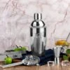Robuuste Kwaliteit Cocktailshaker Set RVS + 2 Gratis RVS Rietjes - Keizer RVS - 5 Delige Set - RVS Bar Shaker Set