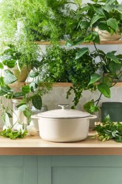 Tefal LOV Braadpan - 5L - Ø25 Cm - Beige -Kookgerei Koning Verkoop 800x1200 193