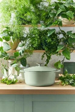 Tefal LOV Braadpan - 5L - Ø25 Cm - Groen -Kookgerei Koning Verkoop 800x1200 195