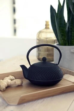 Bredemeijer - Theepot Fujian 1.2L Met Filter -Kookgerei Koning Verkoop 800x1200 83