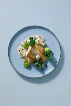 Palmer Serviesset Antigo Porselein 6-persoons 24-delig Lichtblauw -Kookgerei Koning Verkoop 800x1200 9