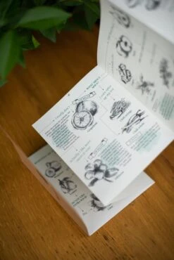 BOTANICA Gin-botanicals Ginkruiden 6 Soorten (mix 1) In Paper-bag (175g) 20 BOTANICA Gin-botanicals Ginkruiden 6 Soorten (mix 1) In Paper-bag (175g) -Kookgerei Koning Verkoop 801x1200 29