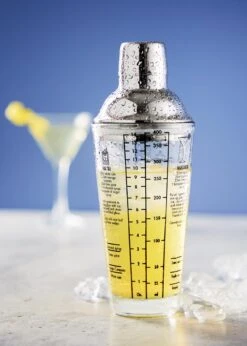 Merkloos DAY - Cocktailshaker - 400ml - Met Opdruk Van Recepten -Kookgerei Koning Verkoop 856x1200 5