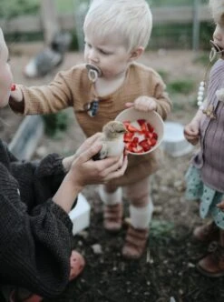 Siliconen Kommen - Mushie - Woodchuck - Set 2 36 Siliconen Kommen - Mushie - Woodchuck - Set 2 -Kookgerei Koning Verkoop 894x1200