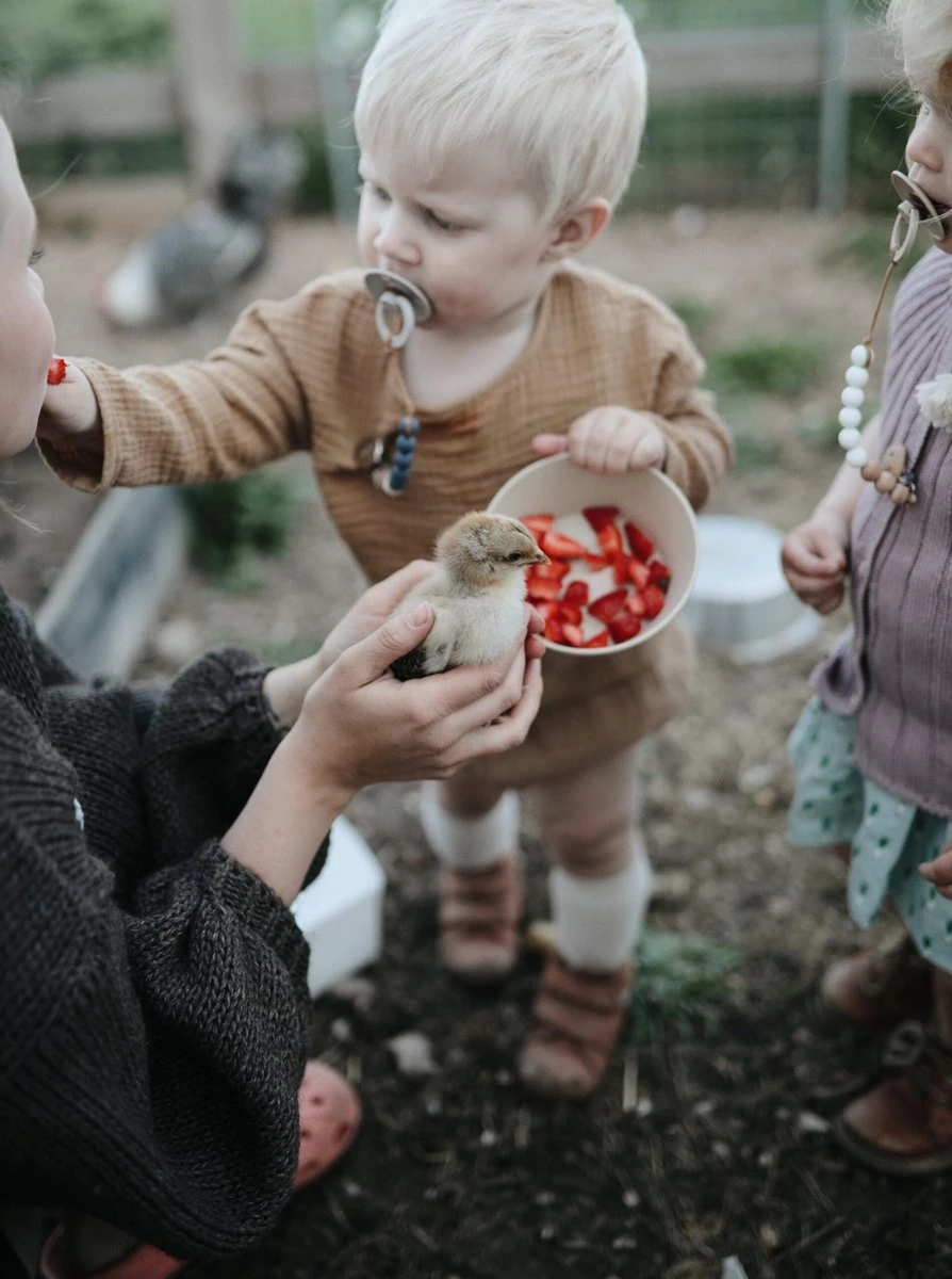 Siliconen Kommen - Mushie - Woodchuck - Set 2 17 Siliconen Kommen - Mushie - Woodchuck - Set 2 - Afbeelding 17