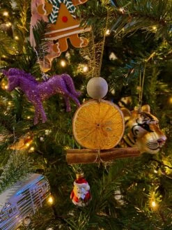 BOTANICA Gedroogde Sinaasappel Schijfjes 110 G 14 BOTANICA Gedroogde Sinaasappel Schijfjes 110 G -Kookgerei Koning Verkoop 900x1200 116