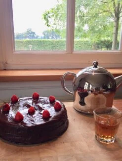 Bredemeijer - Theepot Minuet Santhee 0,5L Glanzend Dubbelwandig -Kookgerei Koning Verkoop 910x1200 2