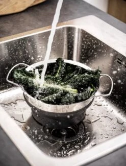 OMID HOME Vergiet - Vouwbaar - Inklapbaar - Grijs / RVS / En Te Gebruiken Als Stoominzet / Pastakoker Met Vergiet / Stoom Vergiet -Kookgerei Koning Verkoop 912x1200 8