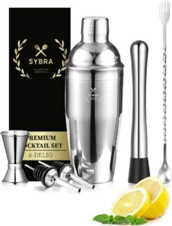 Sybra Cocktail Shaker Set - 6 Delig - Cocktail Shaker 750ML - Cocktail Boek - Roestvrijstaal - Geschenkverpakking - Opbergzakje